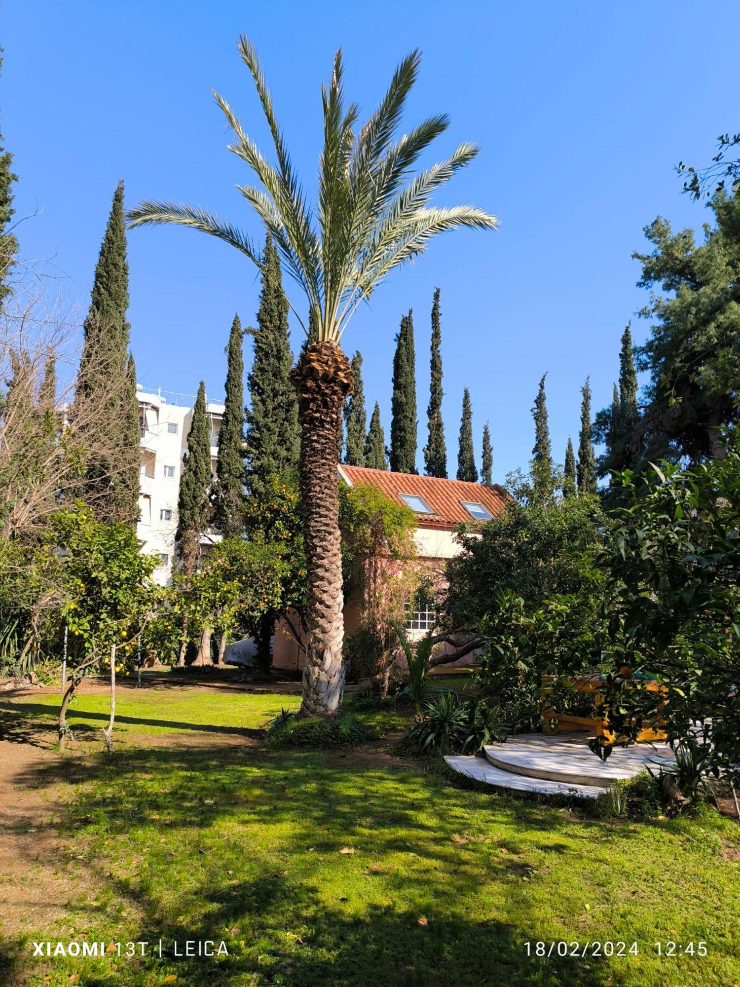 With A Big Garden * Athene